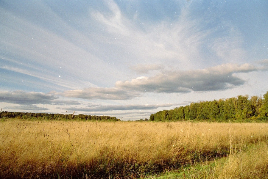 Аналоговая фотография